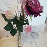 Center Roko Апартаменты Сплит