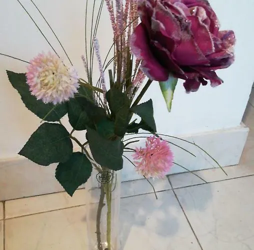 Center Roko Апартаменты Сплит