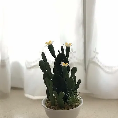 Appartement Center Roko *